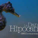 Descubre la sorprendente danza del hipocampo y su impacto en la memoria